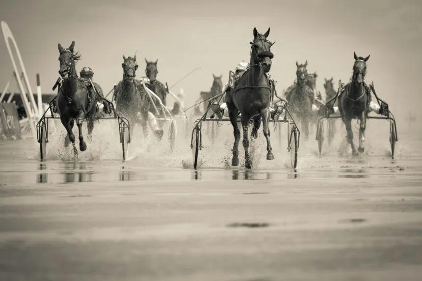 Jockeying