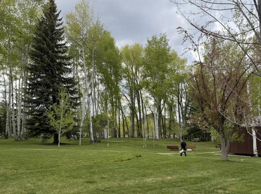 Aspen